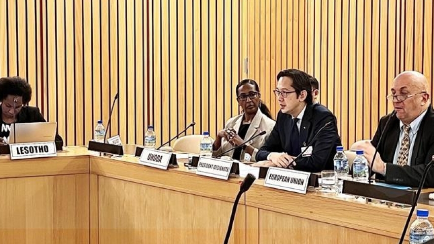 Vietnam chairs African Regional Consultation for 2026 NPT Review Conference